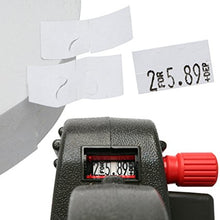 Monarch 1131 Pricing Gun With Labels Value Pack: Includes Monarch 1131 Price Gun, 160,000 White Pricemarking Labels, 8 Bonus Inkers